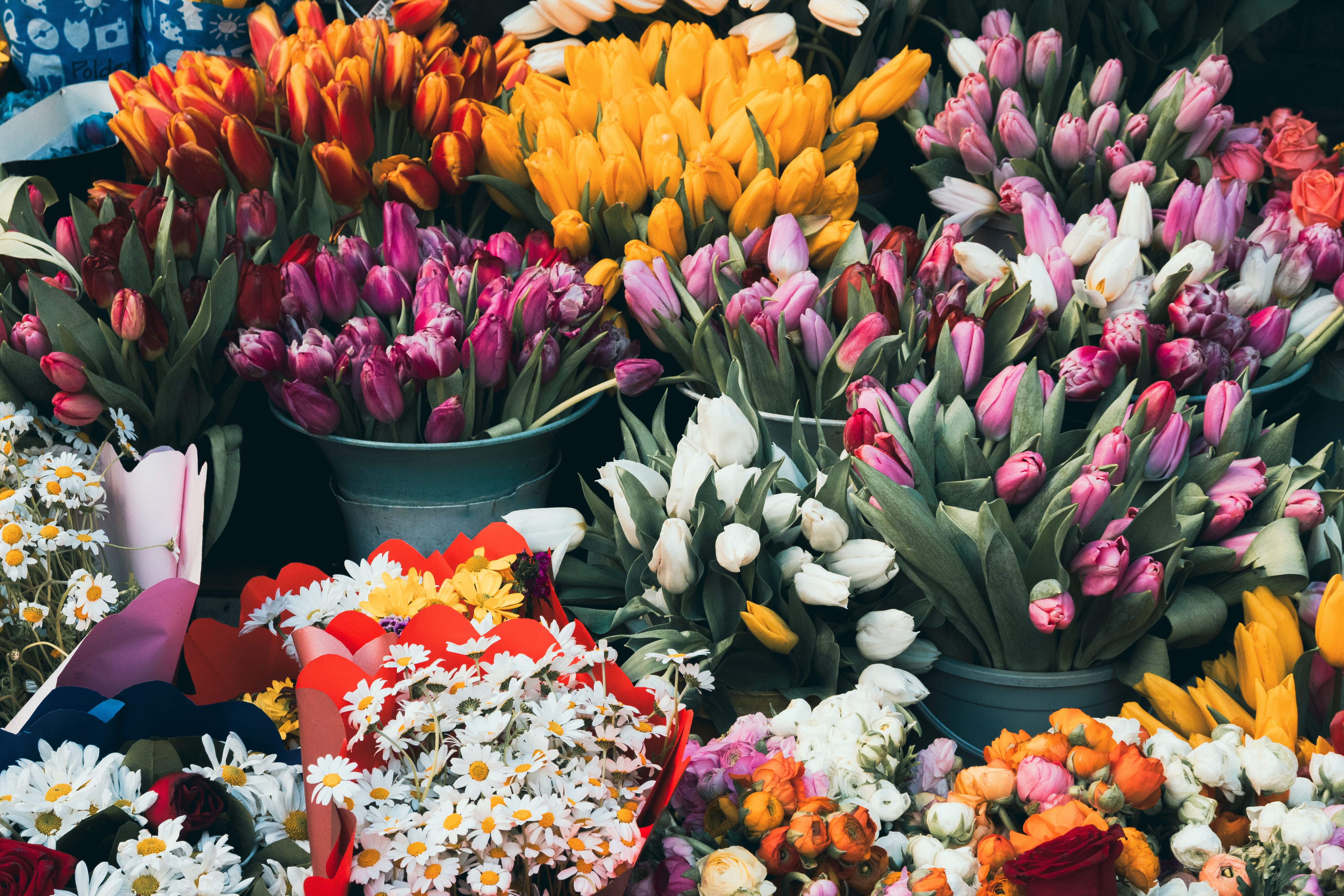 Colorful market display of tulips, daisies, and ranunculus