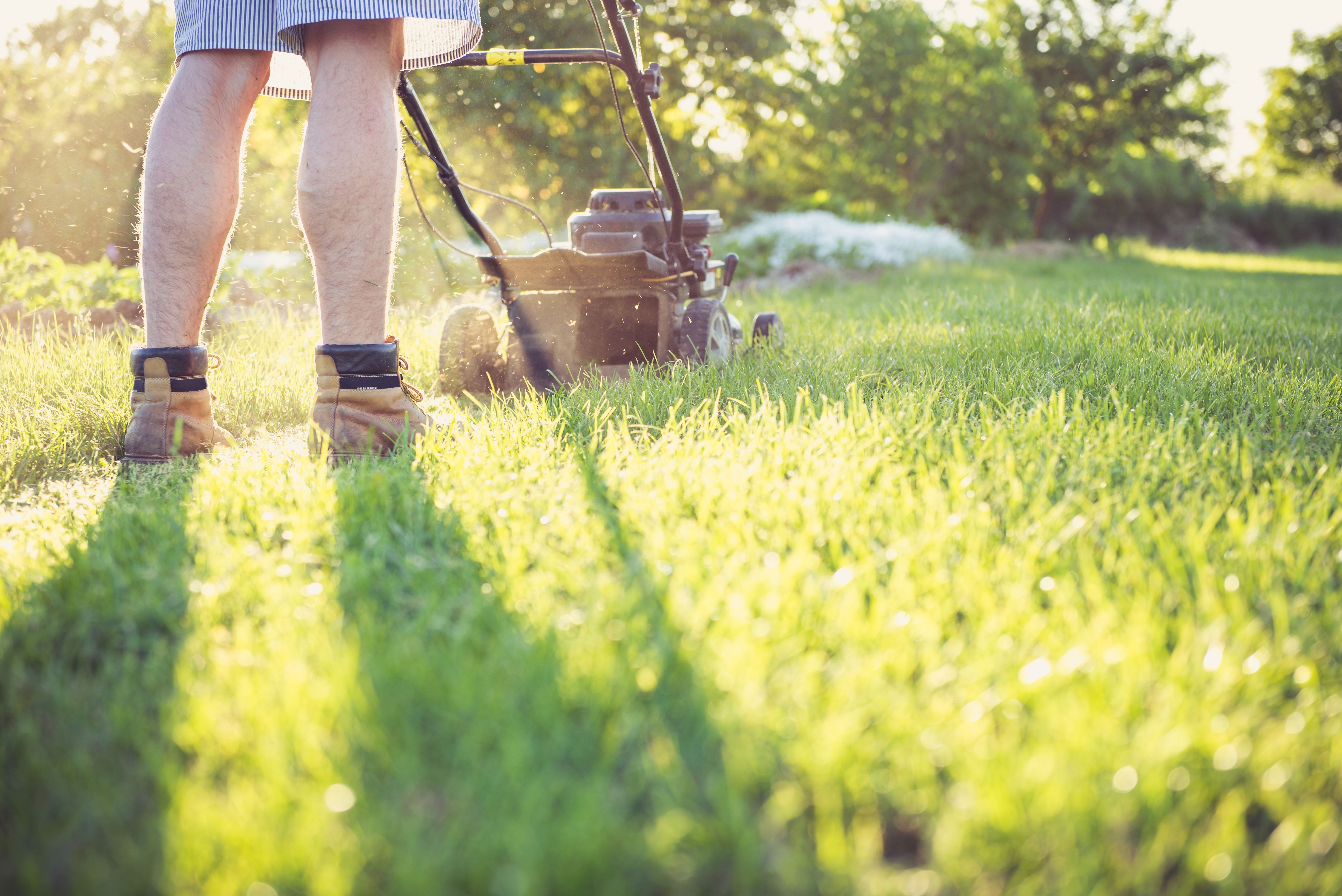 Man mowing a lawn in golden evening light