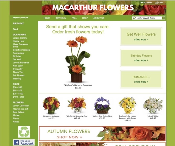 MacArthur Flowers' old site: a generic green e-commerce floral template